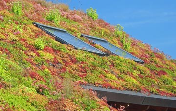 Crailinghall living roof systems